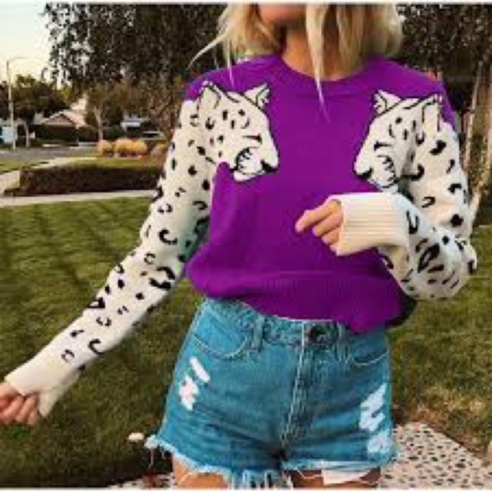 Women's Casual Long Sleeve Crew Neck Cute Animal Leopard Print Sweater, Size S